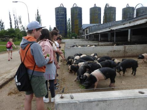 Výprava na bio farmu Sasov  (7.A)