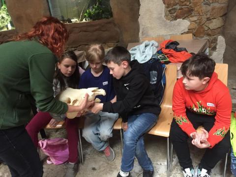 ZOO Jihlava - Kopýtkem sem, kopýtkem tam 3.A