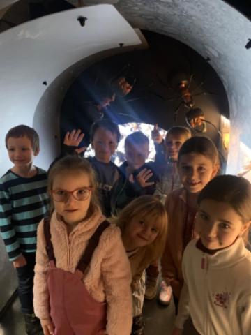 Muzeum Vysočiny - výukový program Les 1. ročník