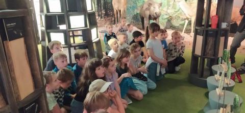 Dnes je na programu les 2.A
