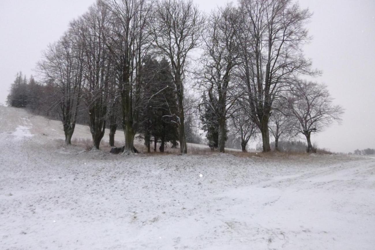 LVK - Škola v přírodě 1. ročník - pondělí 8. 1. 2018