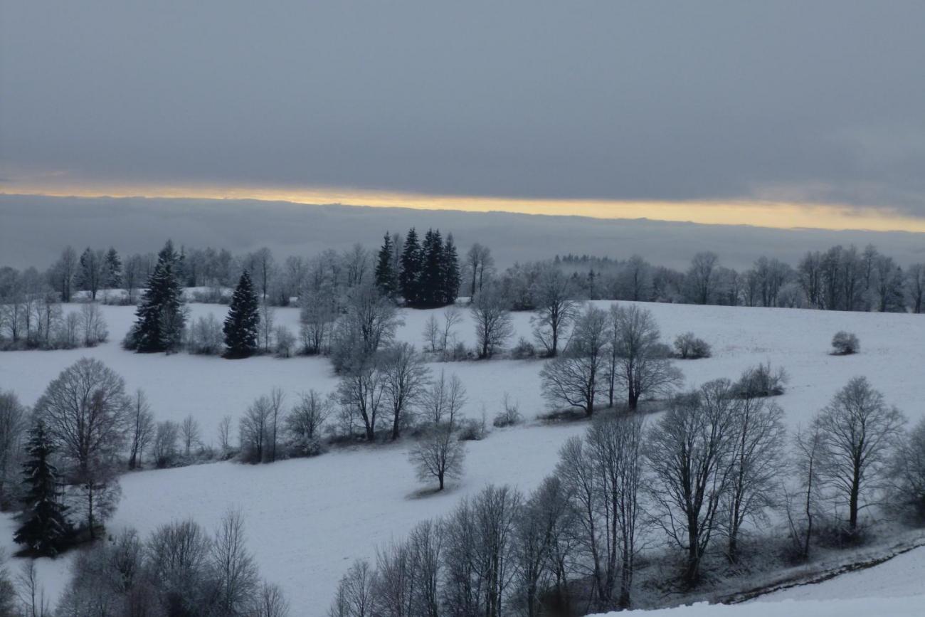 LVK - Škola v přírodě 1. ročník - čtvrtek 11. 1. 2018