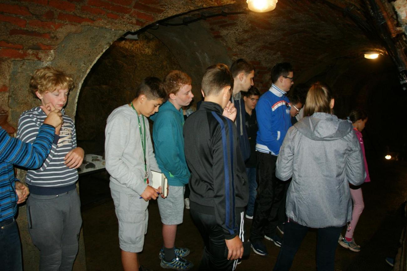 Sportovní den - Lesnovské mokřady a jihlavské podzemí