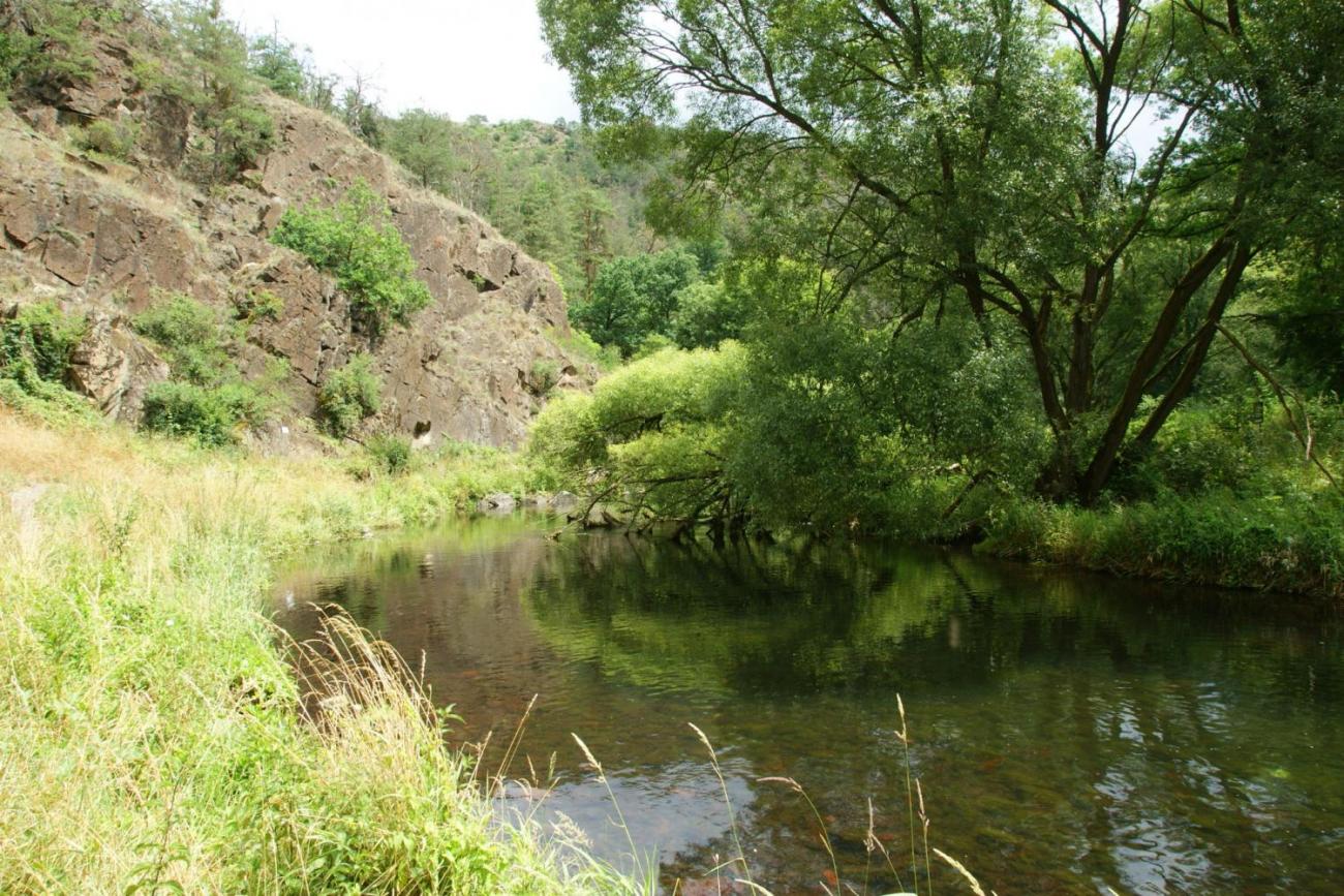 Výlet za odměnu - výprava na Mohelenskou hadcovou step