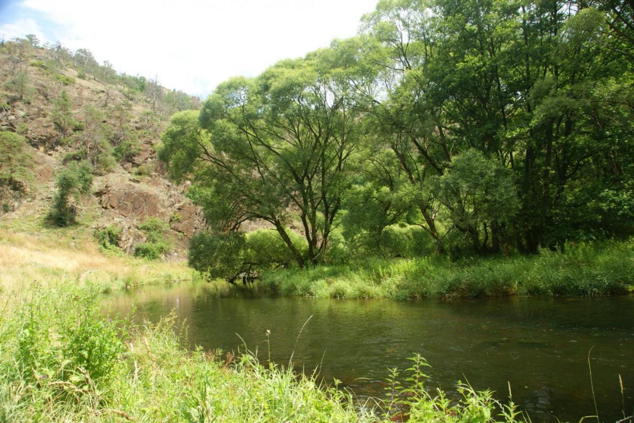 Výlet za odměnu - výprava na Mohelenskou hadcovou step