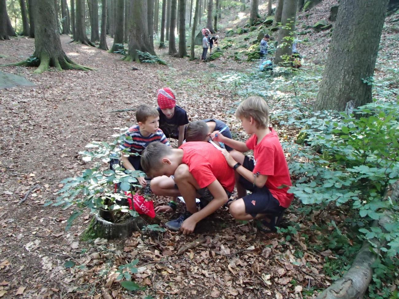 Poznávání a pravidla spolupráce (6. ročník)