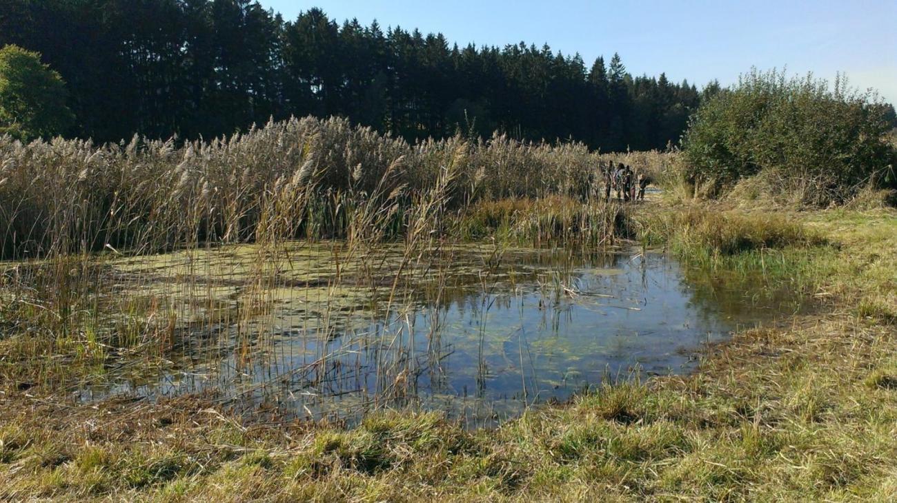 Kopání tůní Dolní Brádlo (7. A, 7. C)