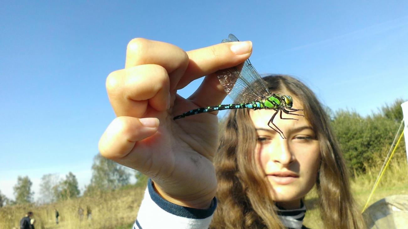 Kopání tůní Dolní Brádlo (7. A, 7. C)