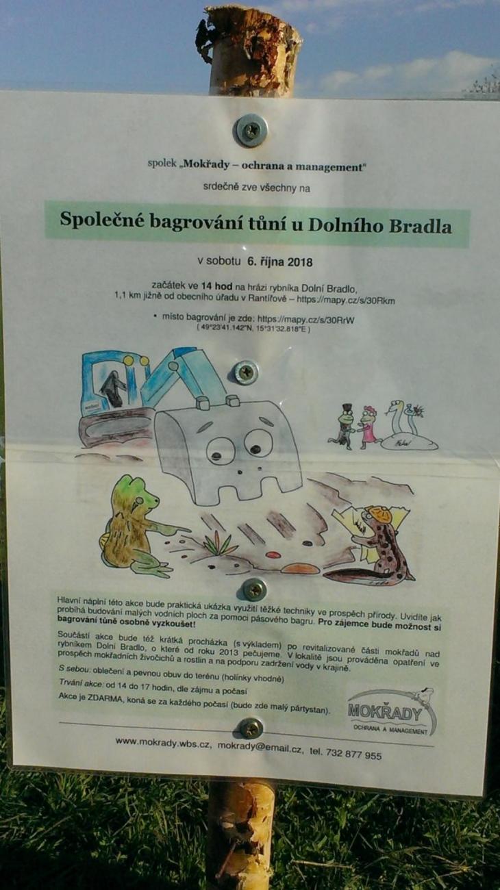 Kopání tůní Dolní Brádlo (7. A, 7. C)