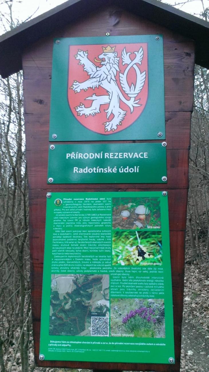 Pomoc přírodě v Radotínském údolí u Prahy