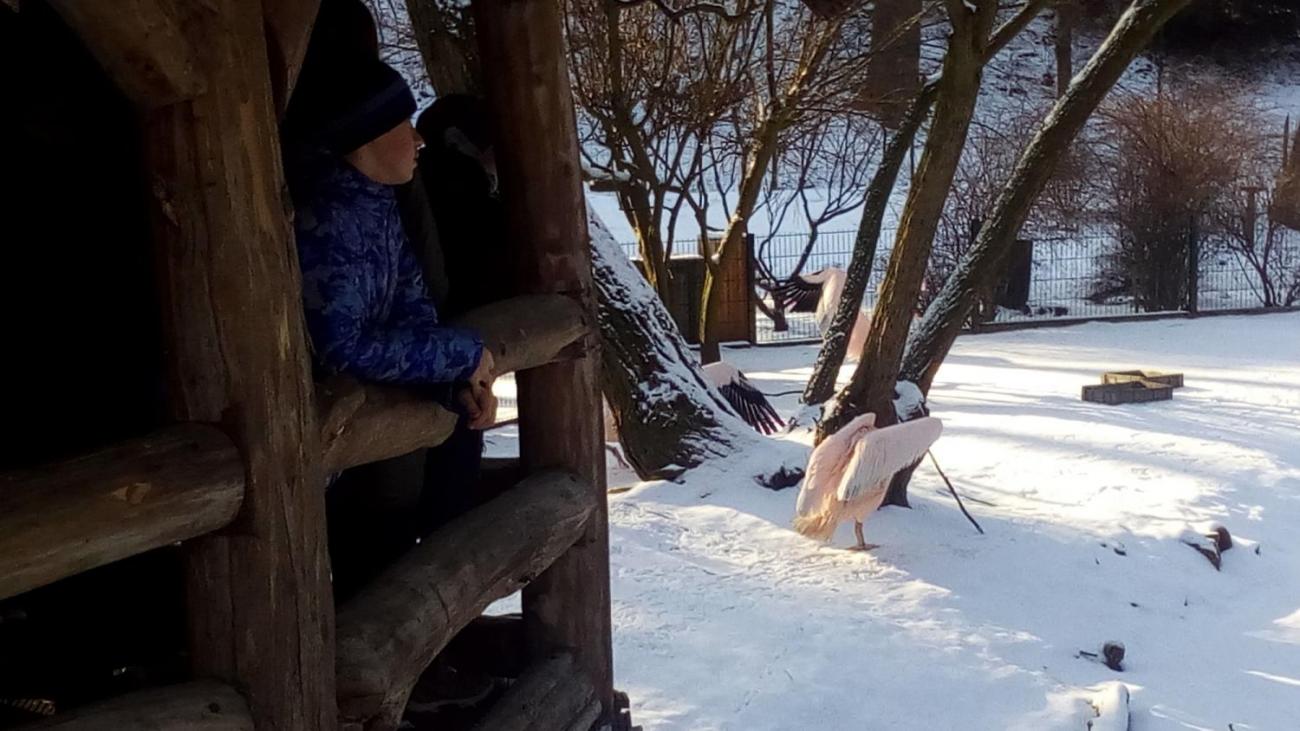 Pod povrchem - ZOO Jihlava - Ptáci (7. A)