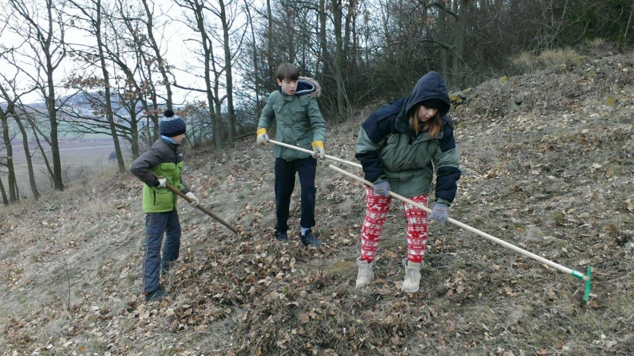 Záchrana okáče skalního v Českém středohoří – výjezd badatelského kroužku