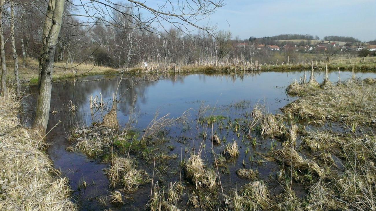 Kopání tůněk u Uhřínovic – výjezd badatelského kroužku 29.–31.3.2019