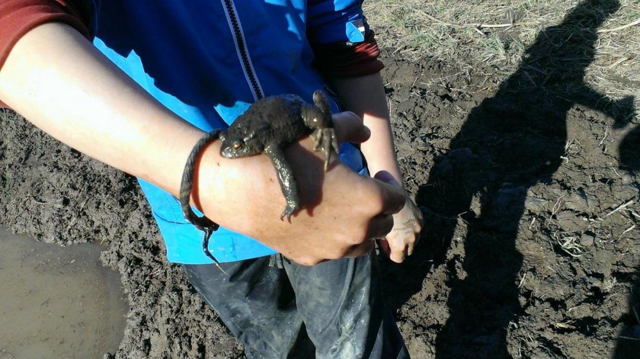 Kopání tůněk u Uhřínovic – výjezd badatelského kroužku 29.–31.3.2019