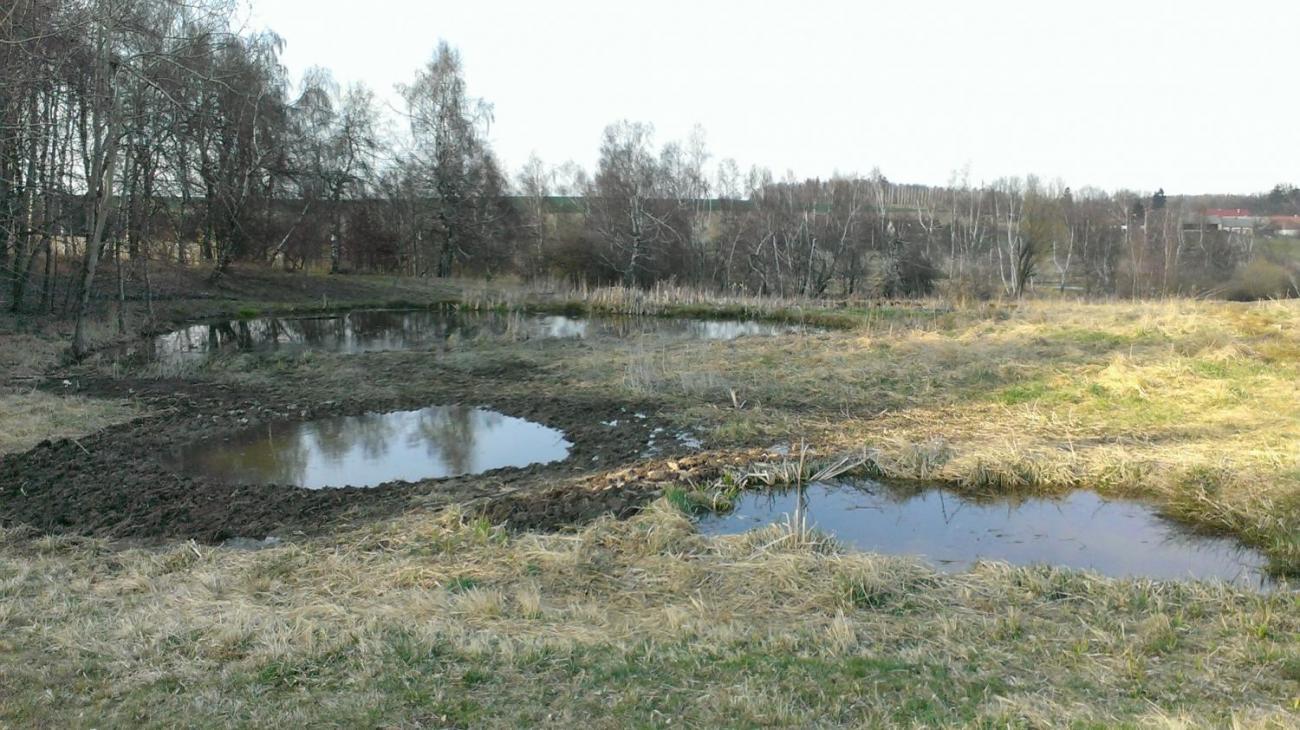 Kopání tůněk u Uhřínovic – výjezd badatelského kroužku 29.–31.3.2019