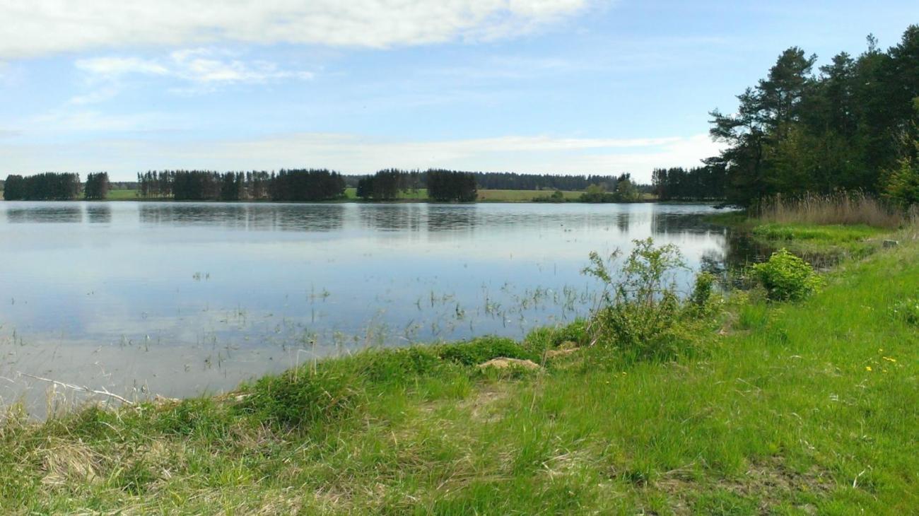 Výprava badatelského kroužku k Novoveselským rybníkům