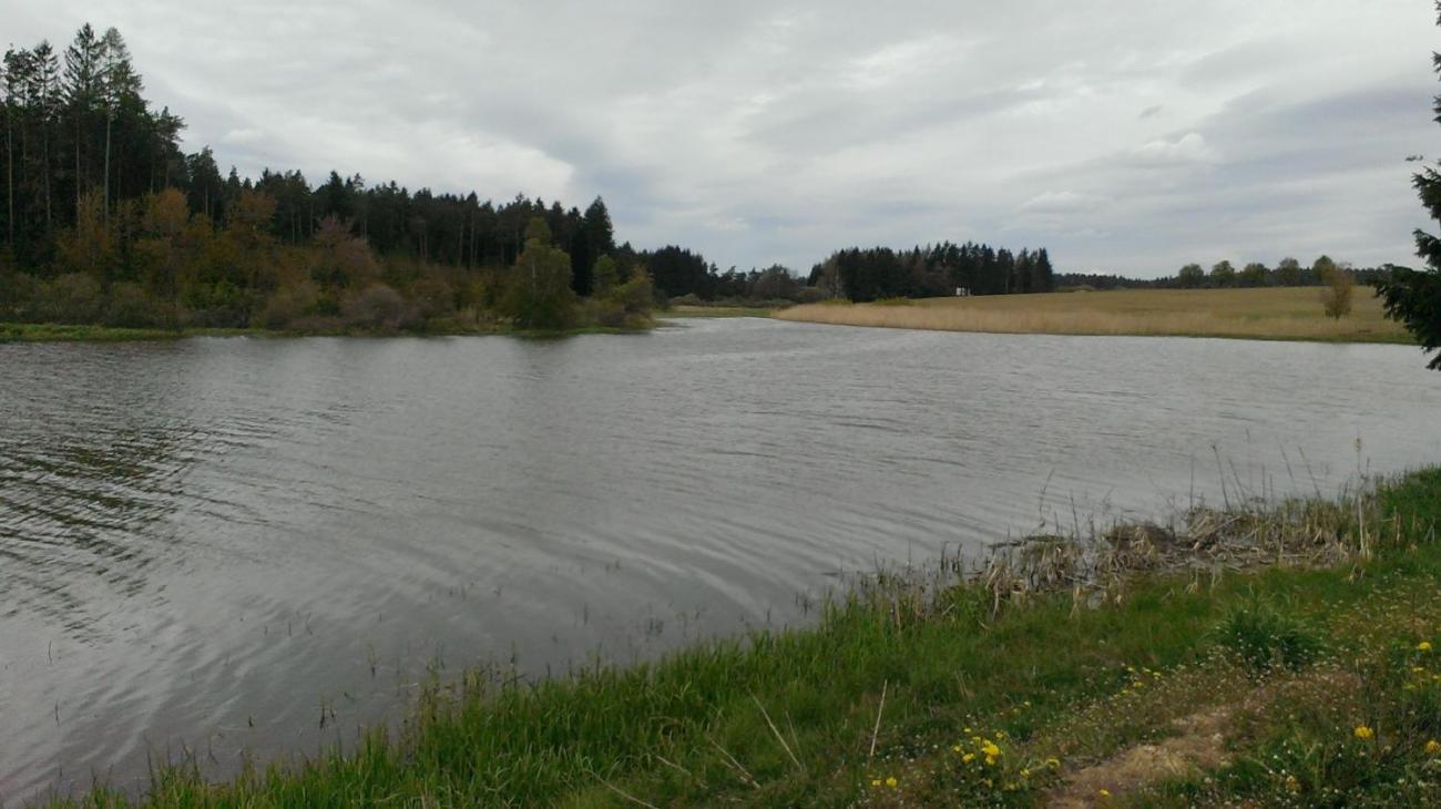 Výprava badatelského kroužku k Novoveselským rybníkům