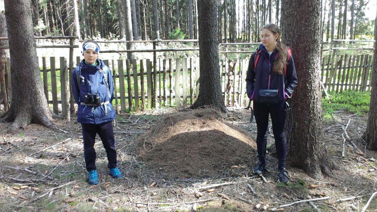 Výprava badatelského kroužku k Novoveselským rybníkům