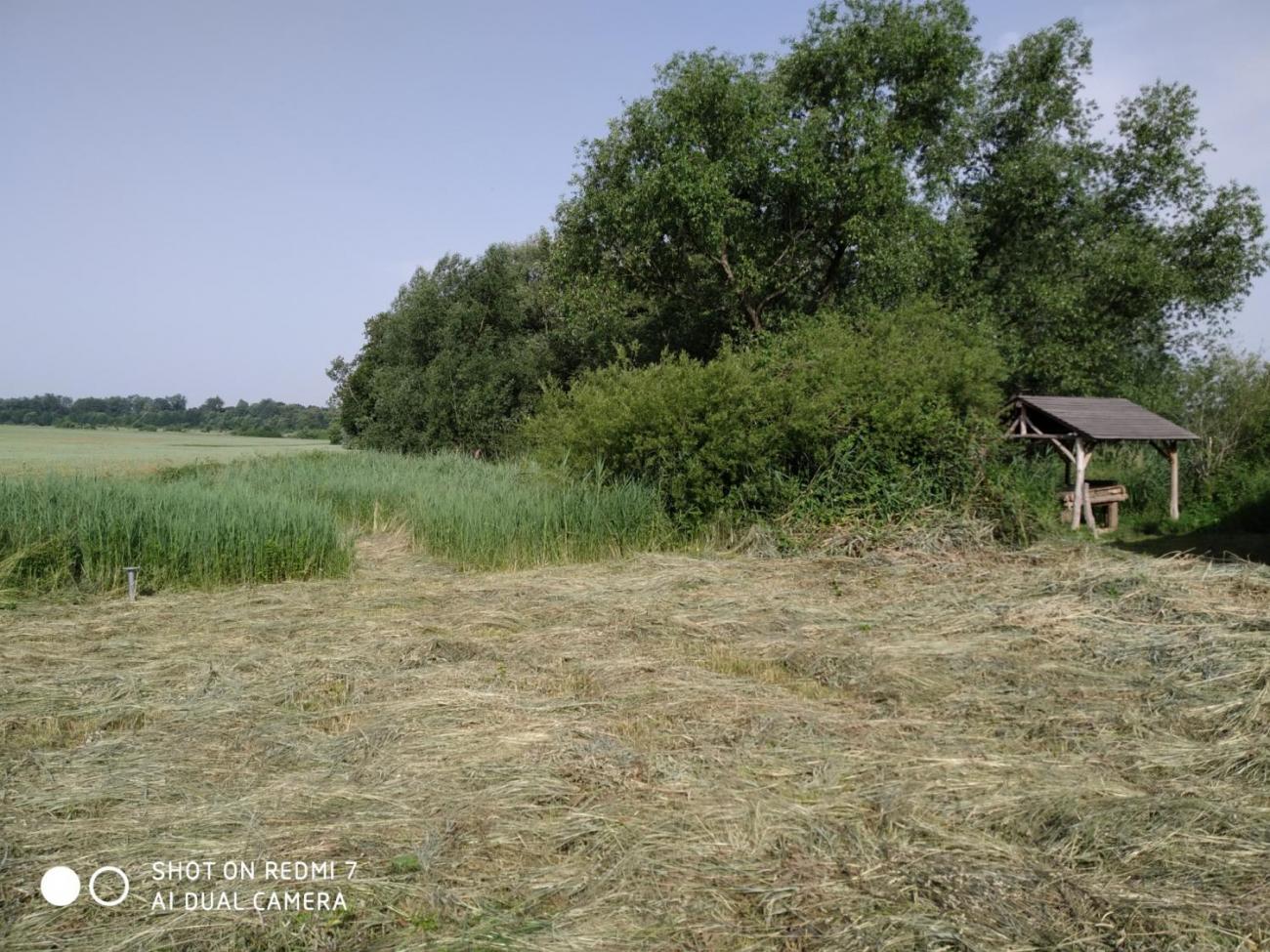 Výjezd badatelského kroužku na Josefovské louky