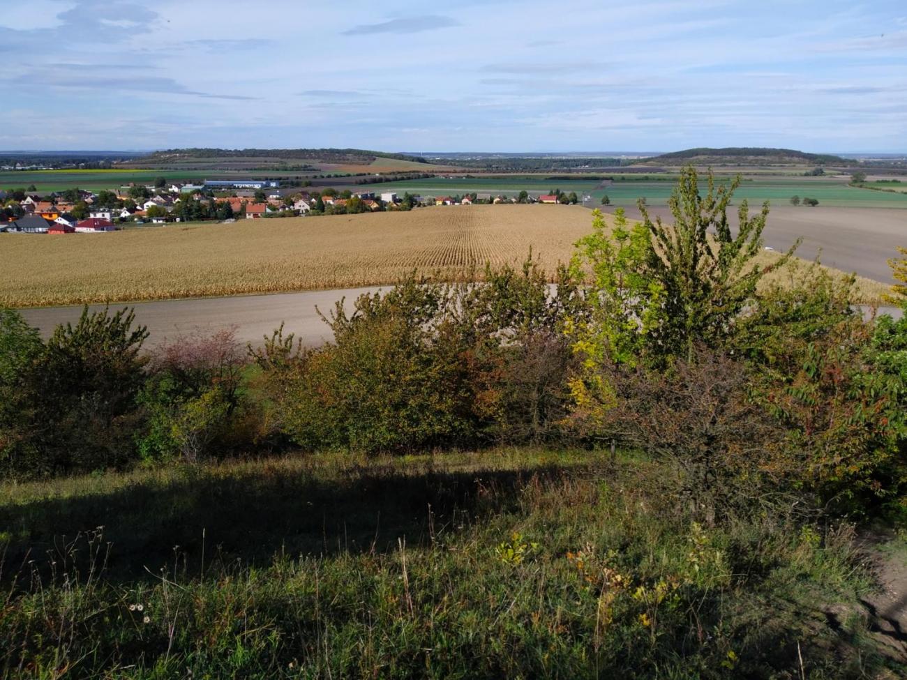 Pomoc přírodě na Břístevské hůře