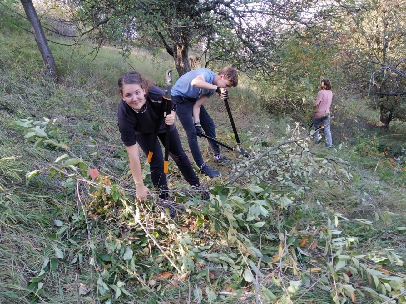 Pomoc přírodě na Břístevské hůře