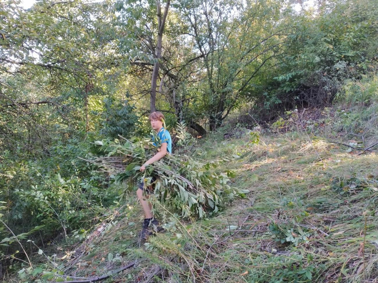 Pomoc přírodě na Břístevské hůře