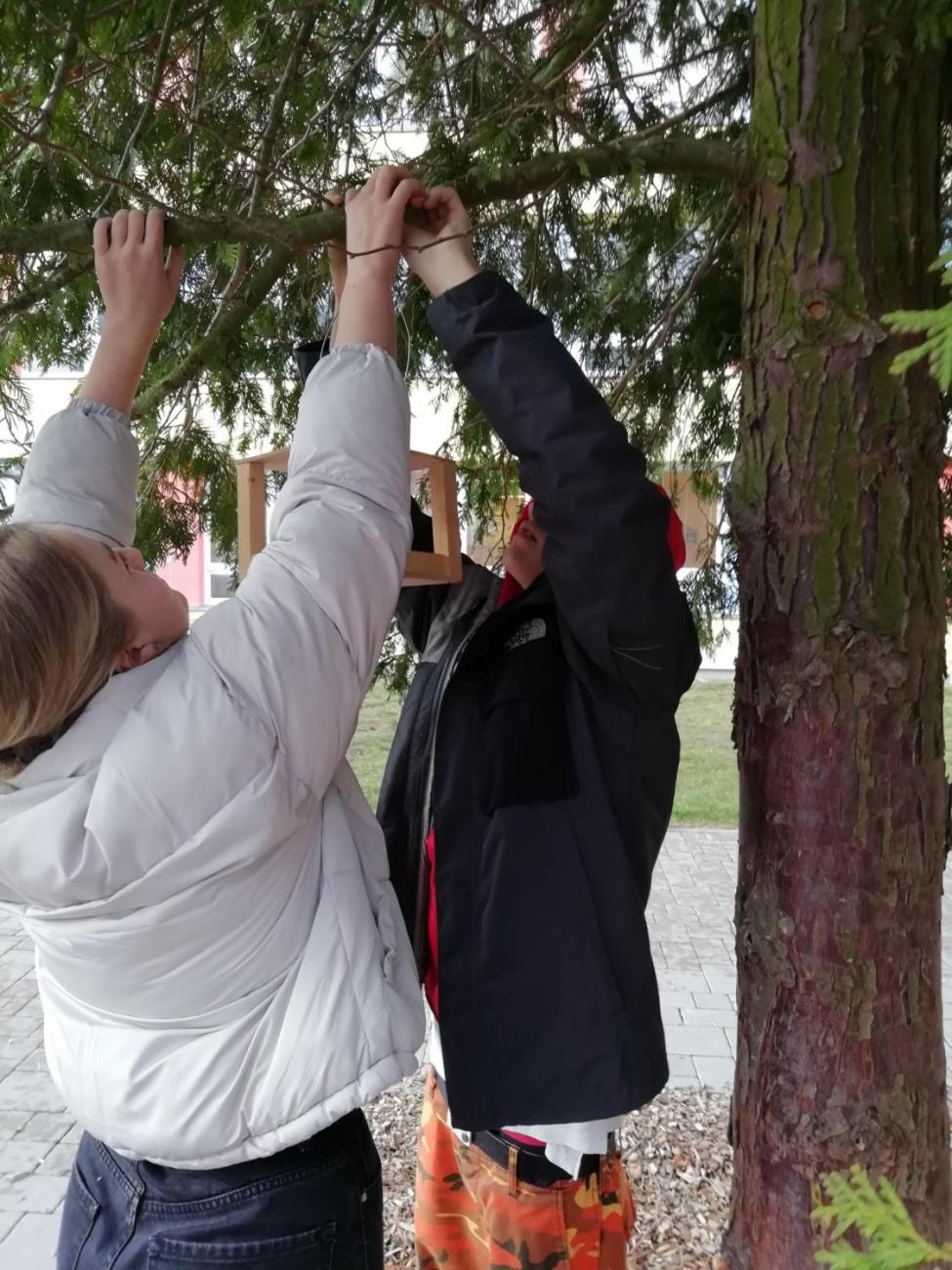 Umísťování krmítek a ptačích budek