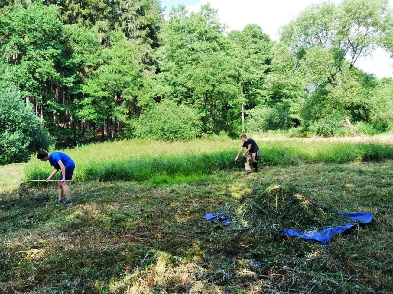 Pomoc přírodě o letních prázdninách – červenec 2020