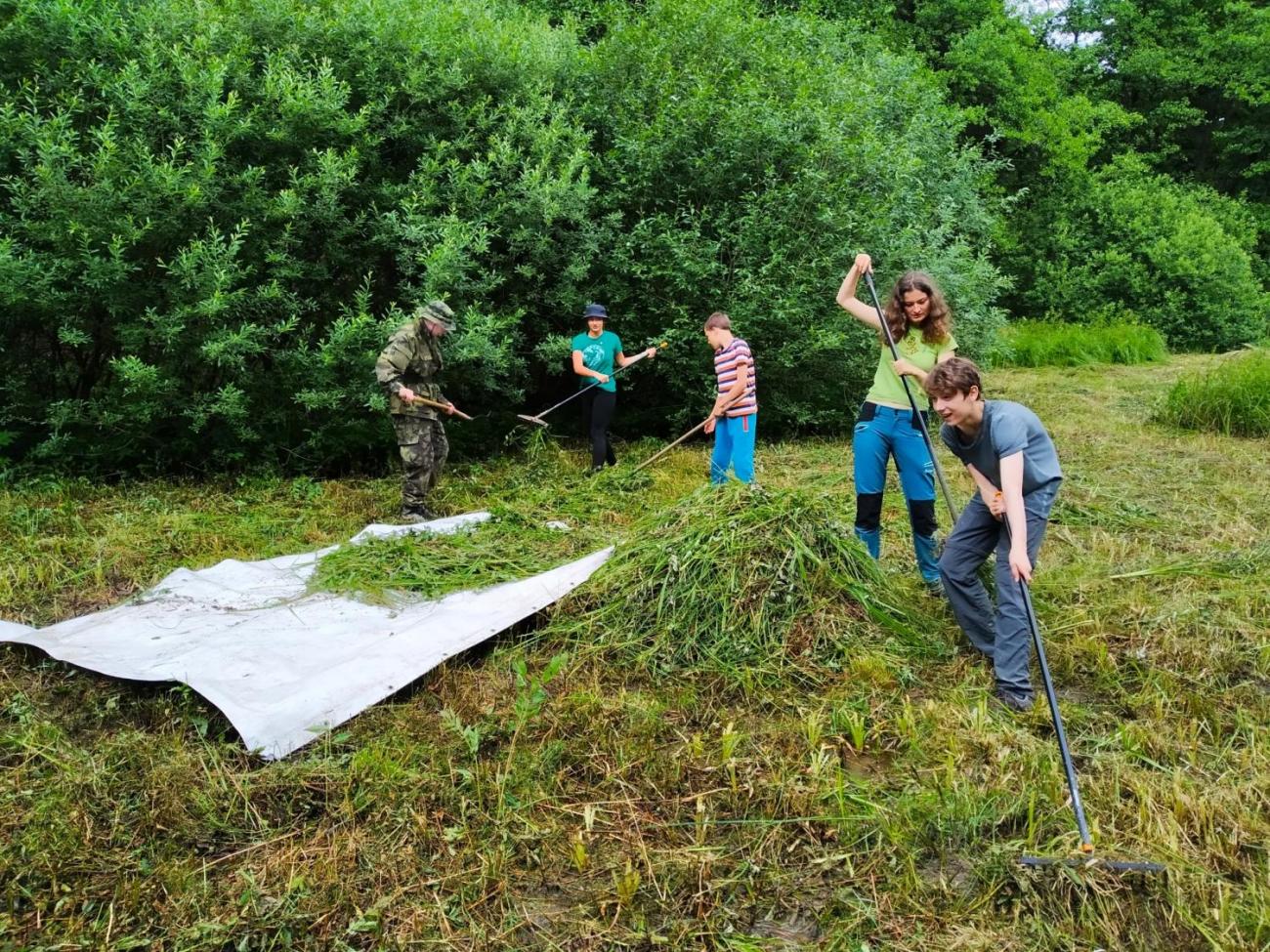 Pomoc přírodě o letních prázdninách – červenec 2020