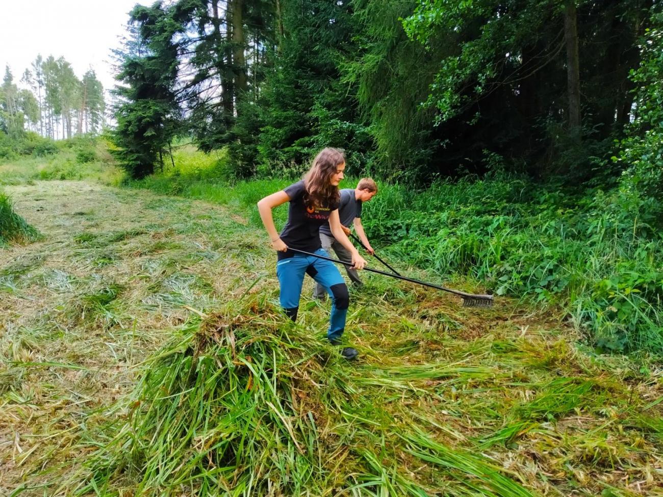 Pomoc přírodě o letních prázdninách – červenec 2020