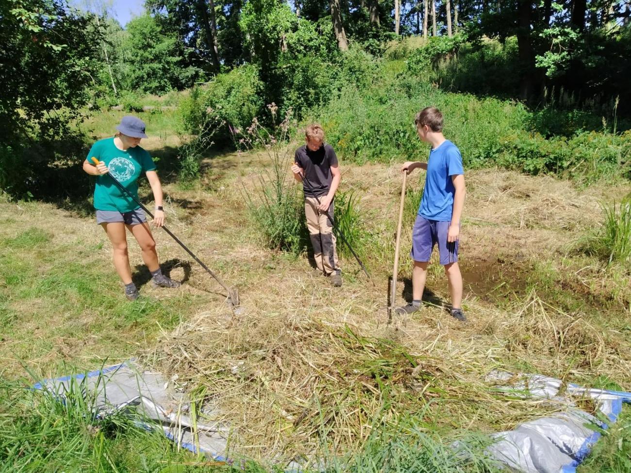 Pomoc přírodě o letních prázdninách – červenec 2020