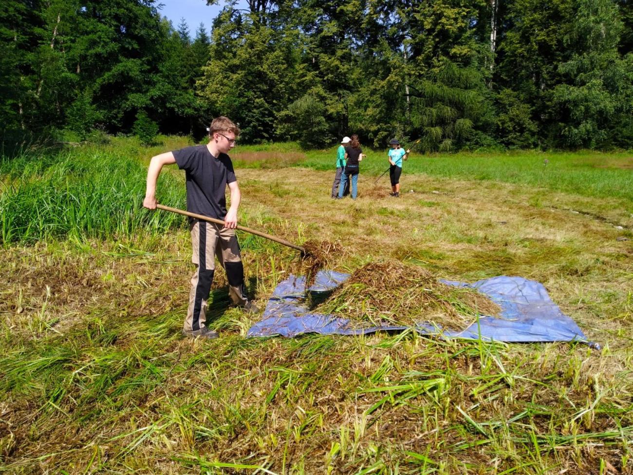 Pomoc přírodě o letních prázdninách – červenec 2020