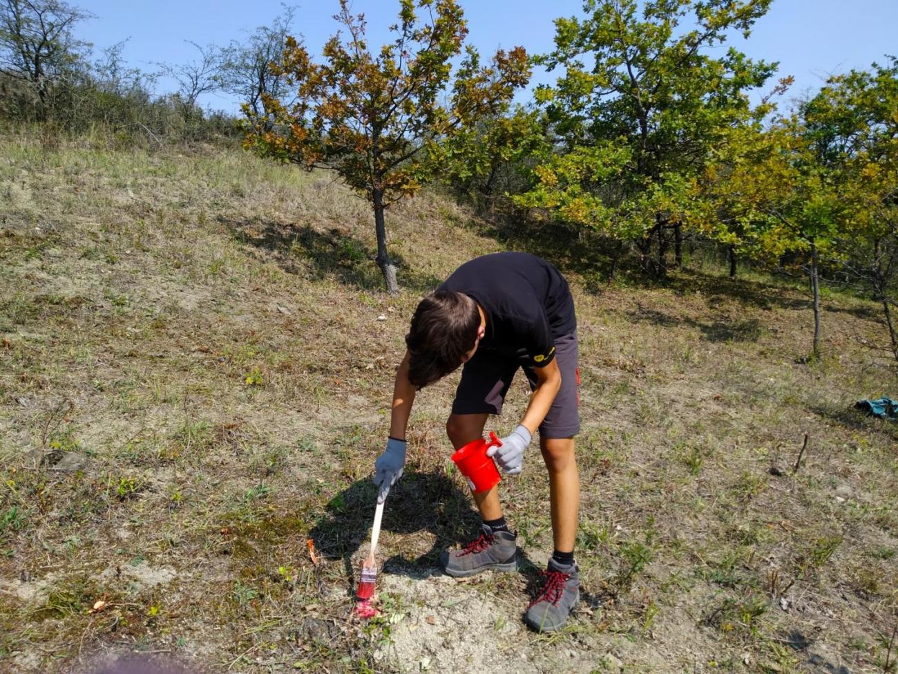 Záchrana motýla okáče metlicového v Českém středohoří