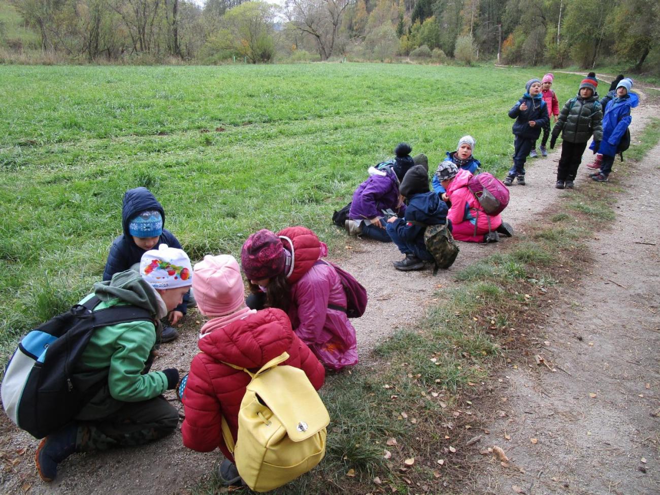 Země skřítků  2. ročník