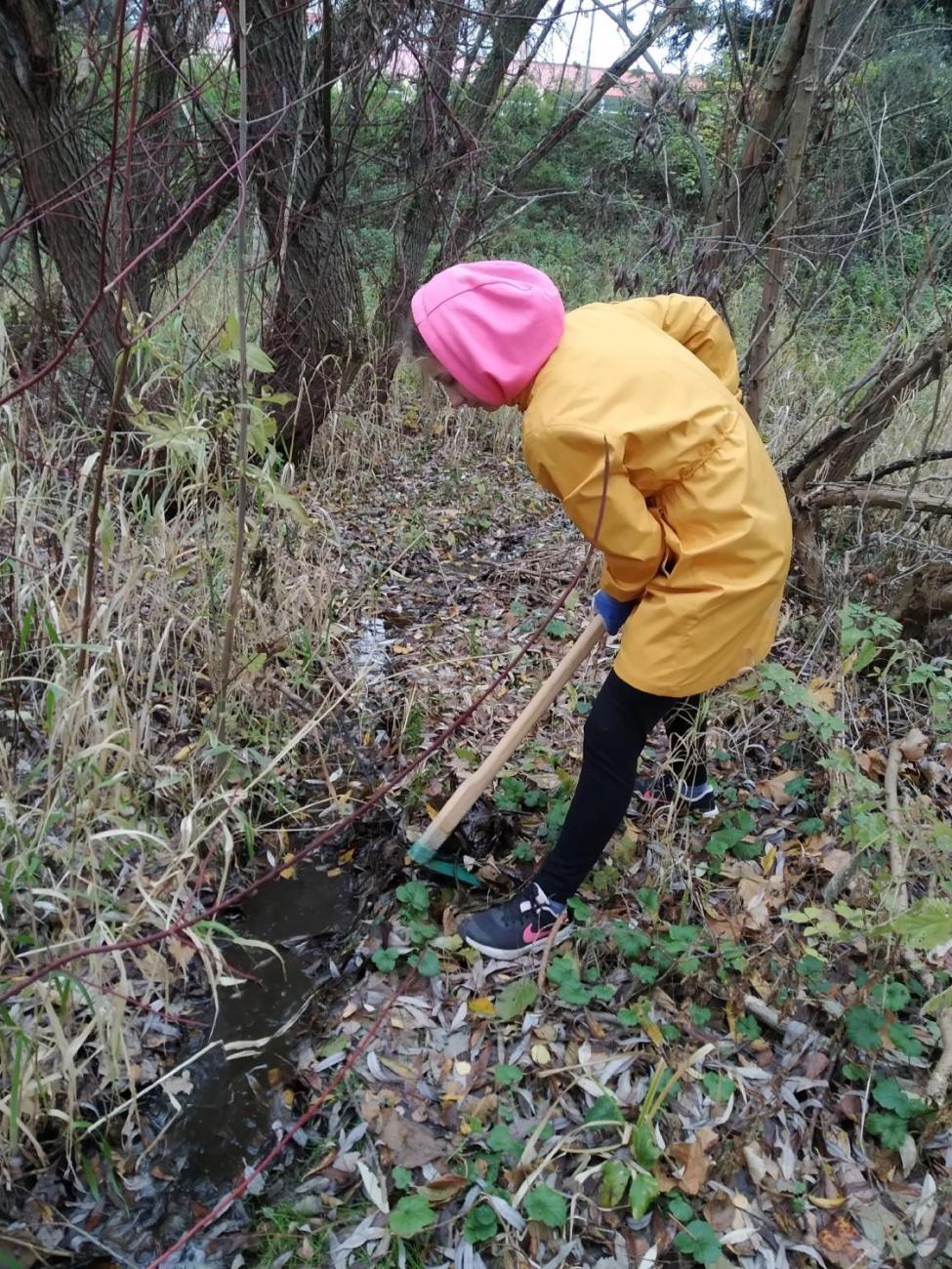 Úklid a obnova mokřadních tůní u školy