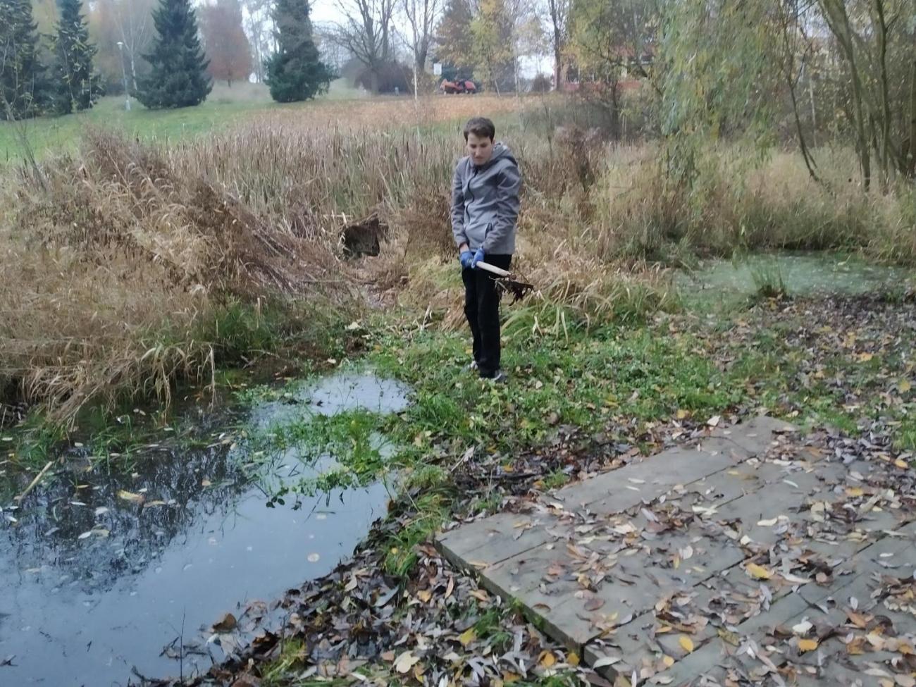 Úklid a obnova mokřadních tůní u školy