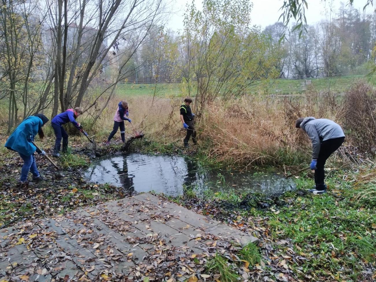 Úklid a obnova mokřadních tůní u školy