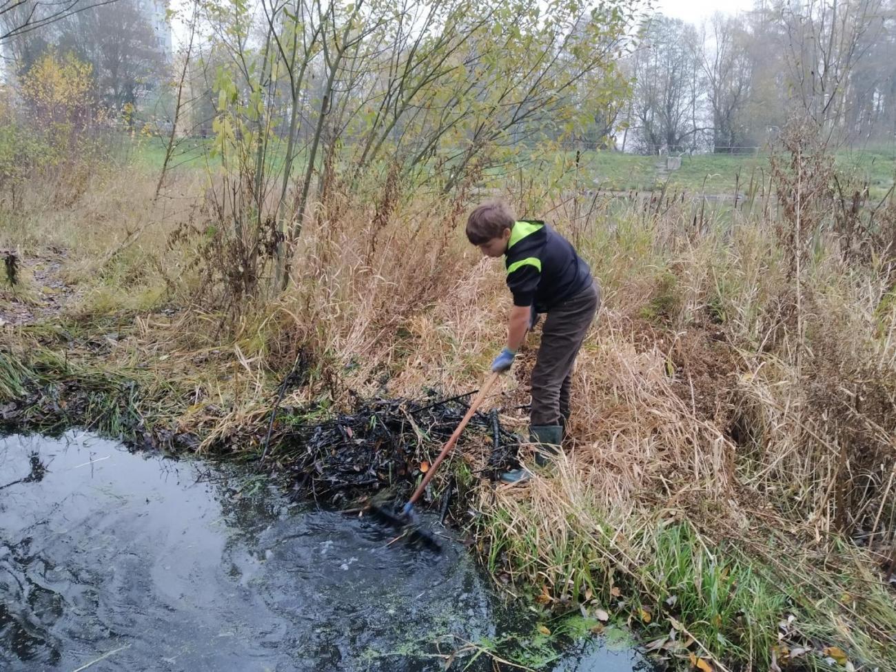 Úklid a obnova mokřadních tůní u školy