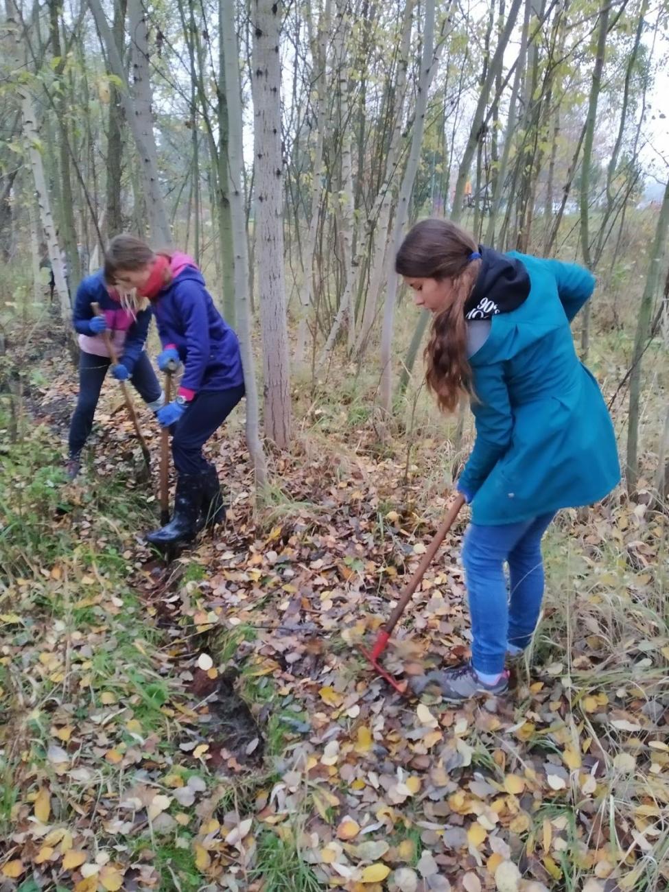 Úklid a obnova mokřadních tůní u školy