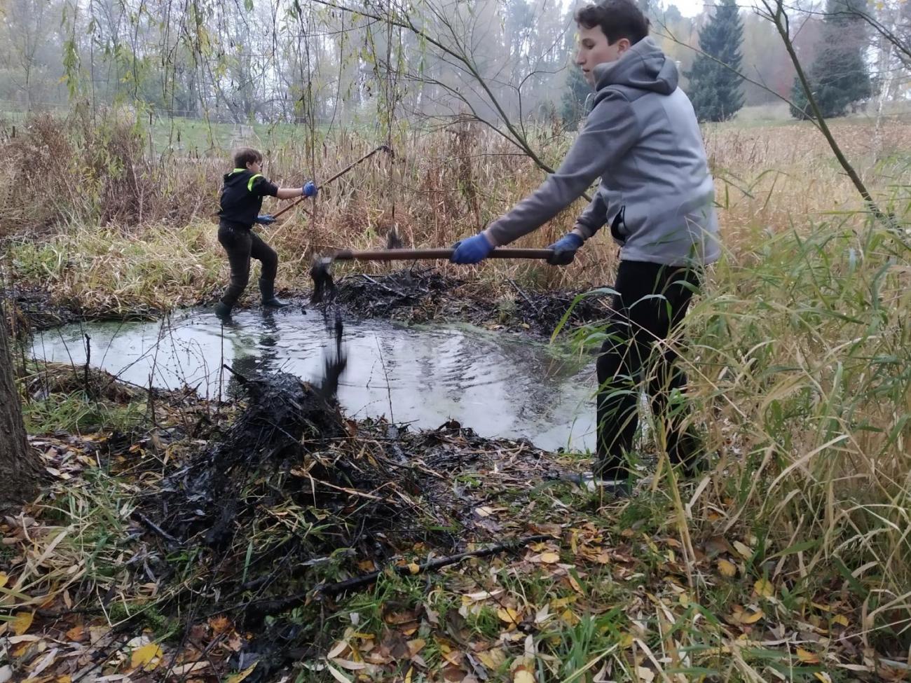 Úklid a obnova mokřadních tůní u školy