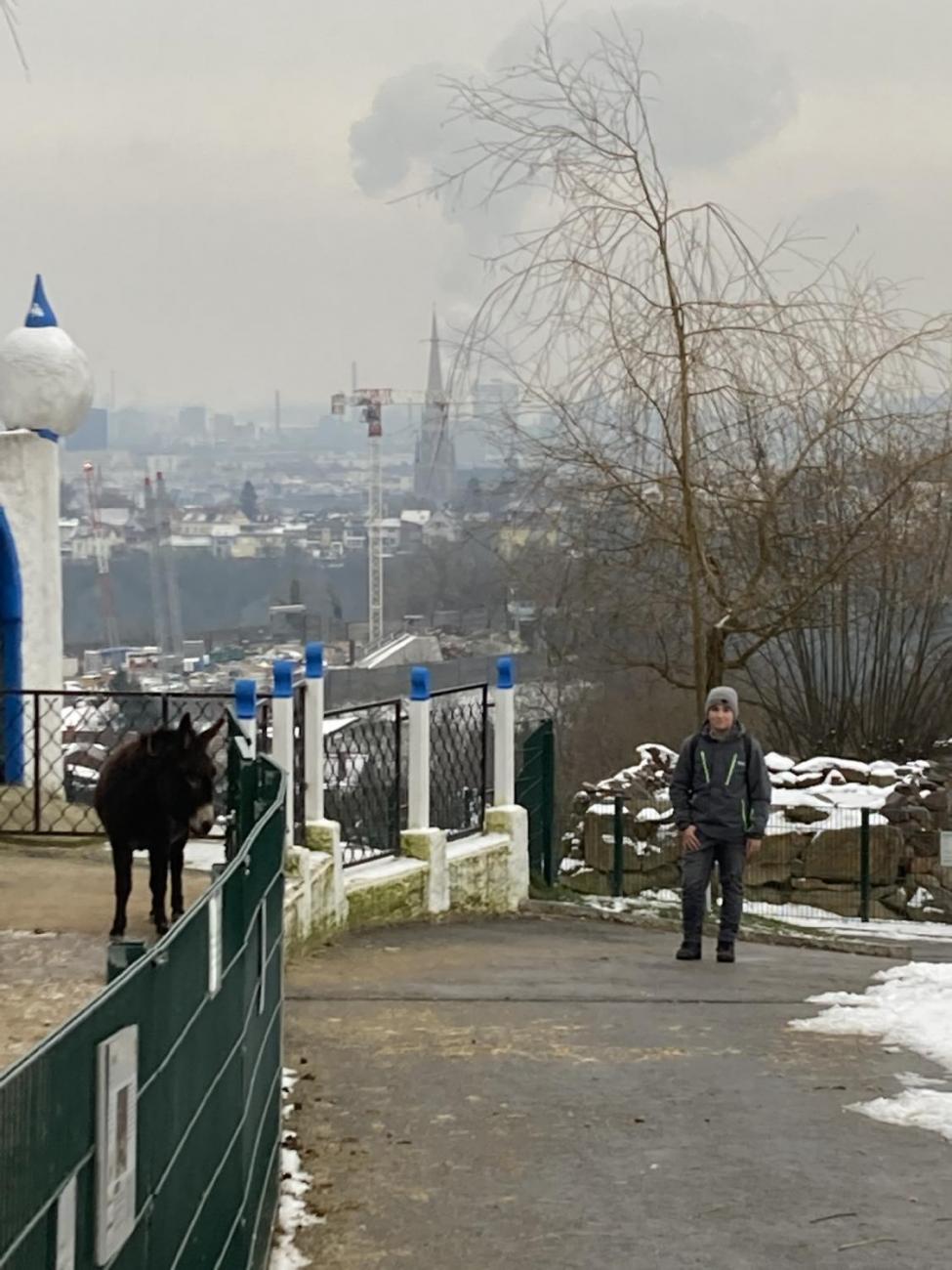 Frohe Weihnachten aus Linz