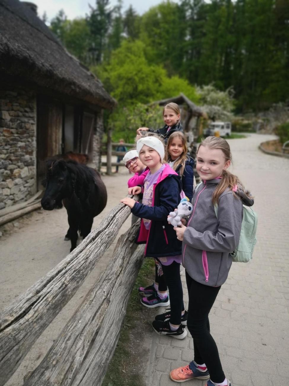 Výukový program ZOO- Mazlíčci  2.A