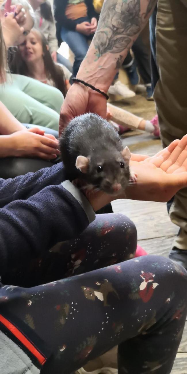 Výukový program ZOO- Mazlíčci  2.A