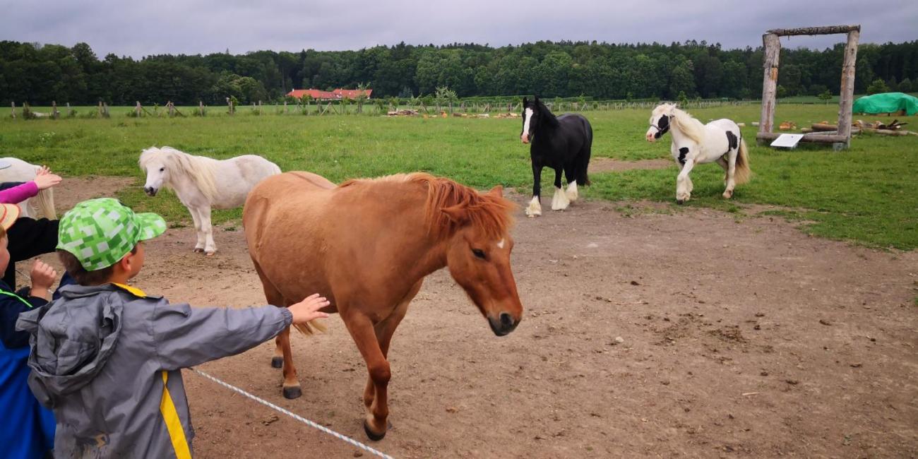 Výprava za dračím vejcem  2.A