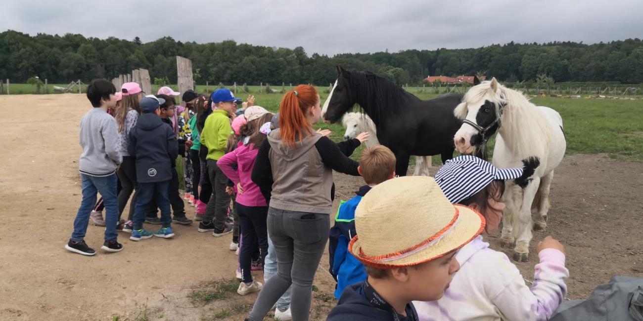 Výprava za dračím vejcem  2.A