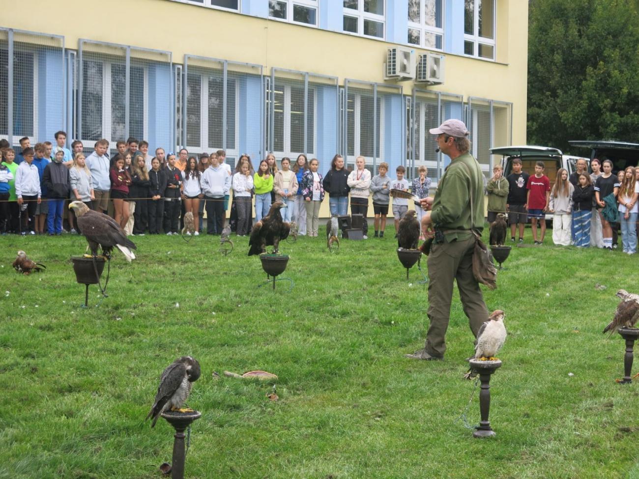 Dravci ze stanice Seiferos