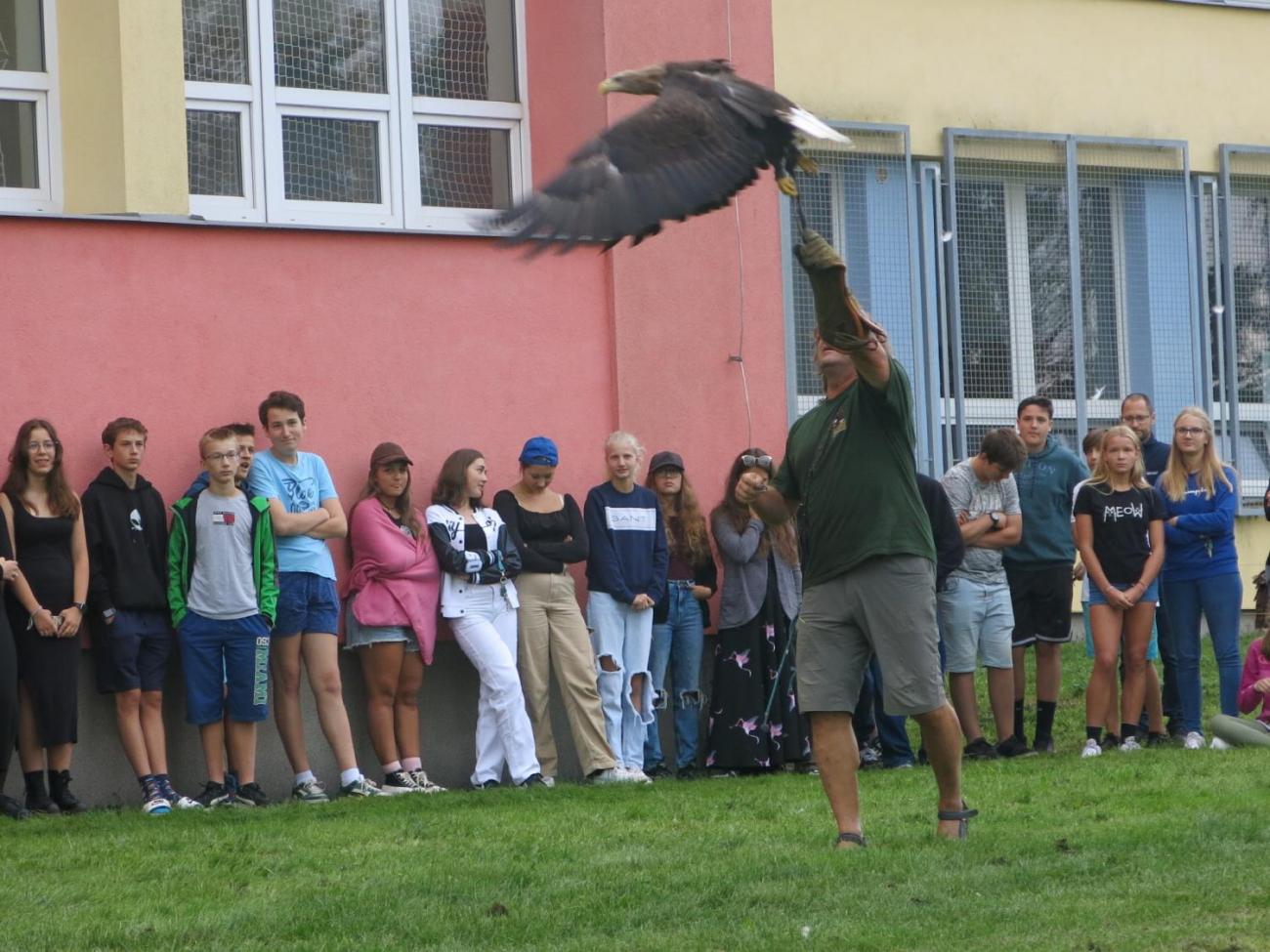 Dravci ze stanice Seiferos