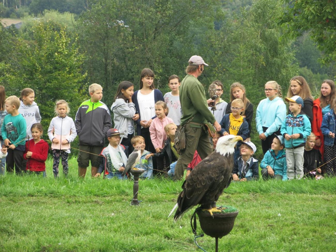 Dravci ze stanice Seiferos