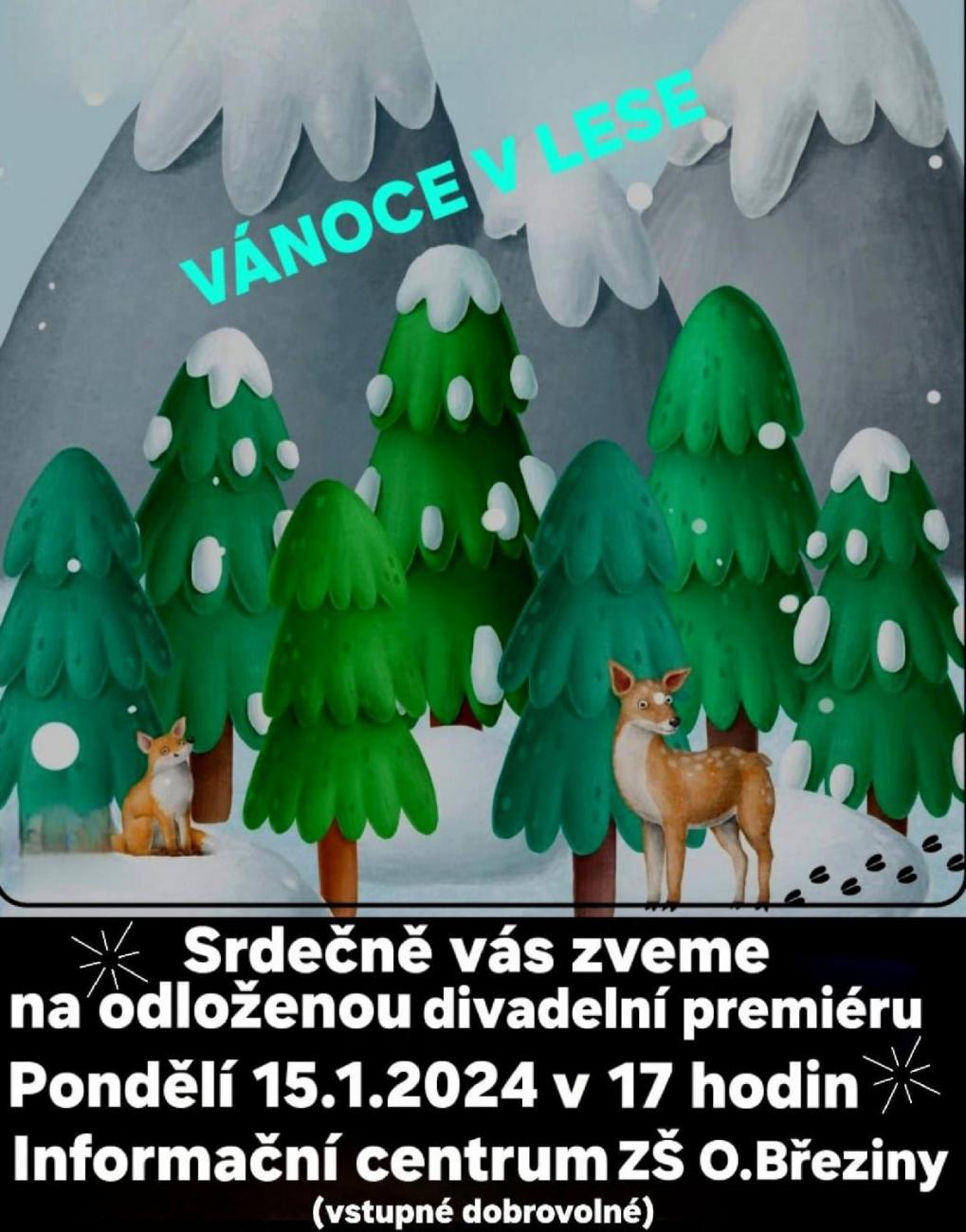 Divadelní představení "VÁNOCE V LESE"