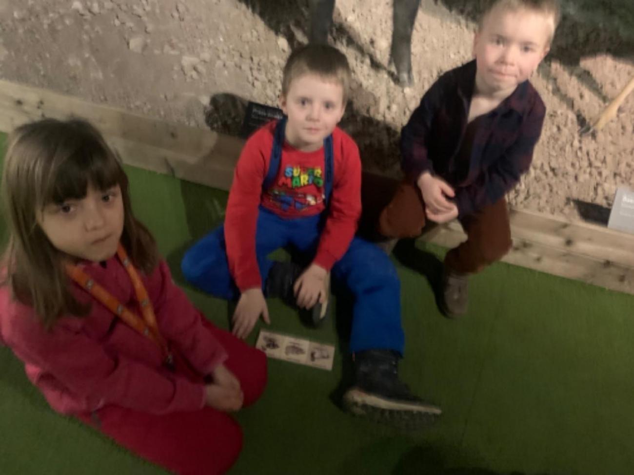 Muzeum Vysočiny - výukový program Les 1. ročník